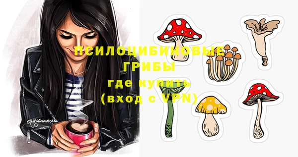 метамфетамин Богородицк