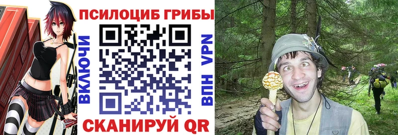 Псилоцибиновые грибы ЛСД  где купить наркотик  Сретенск 